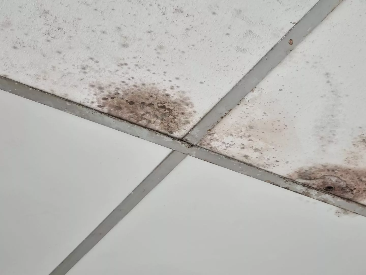 Leaking School Roof Repair Bristol, Clifton, Stokes Croft